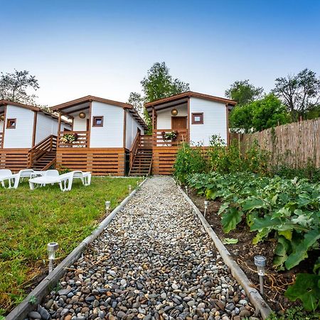 Отель Flori Haus Saschiz Экстерьер фото